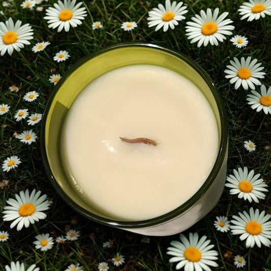 Candle in a glass jar surrounded by daisies on a dark background