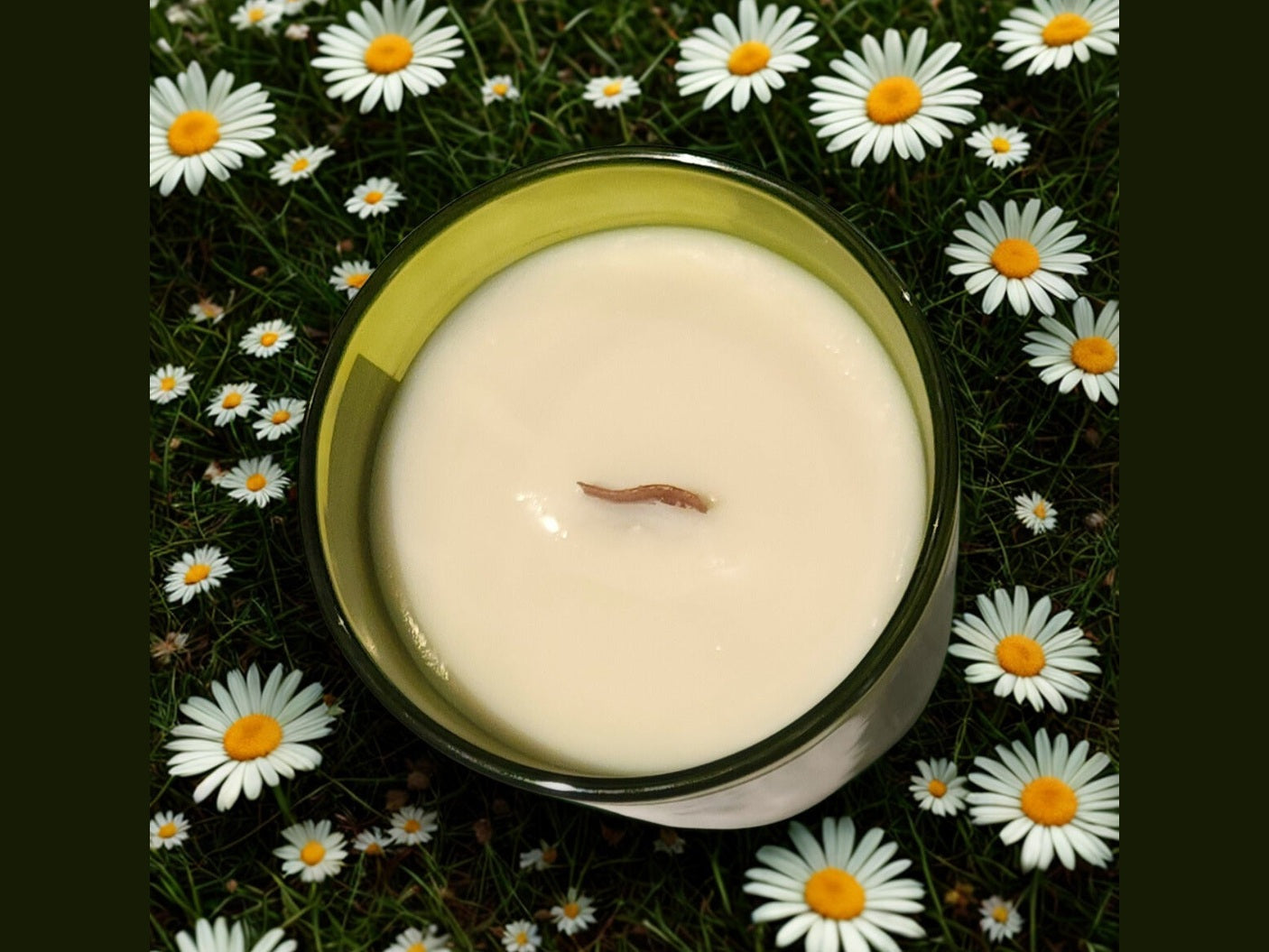 Candle in a glass jar surrounded by daisies on a dark background